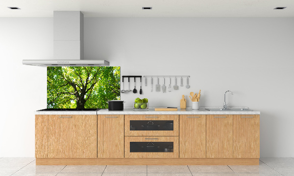 Dekorační panel sklo Zelený les