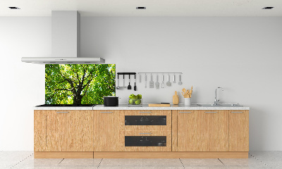 Dekorační panel sklo Zelený les