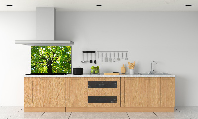 Dekorační panel sklo Zelený les