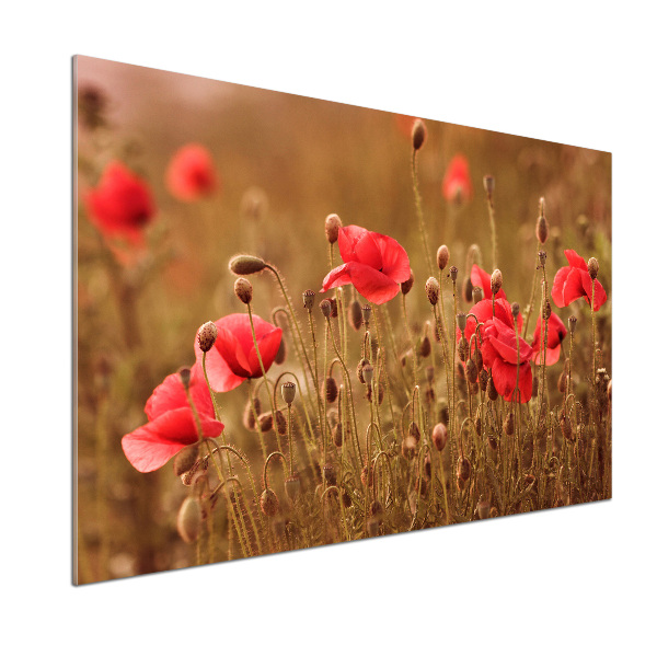 Dekorační panel sklo Máky triptych