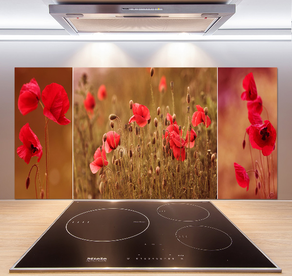Dekorační panel sklo Máky triptych