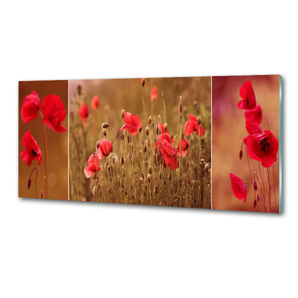 Dekorační panel sklo Máky triptych