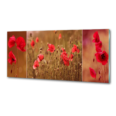 Dekorační panel sklo Máky triptych