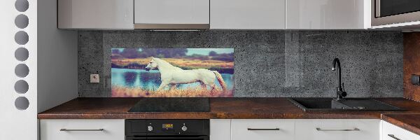 Panel do kuchyně Bílký kůň jezero