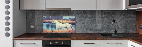 Panel do kuchyně Bílký kůň jezero