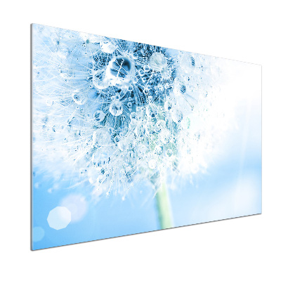 Dekorační panel sklo Pampeliška
