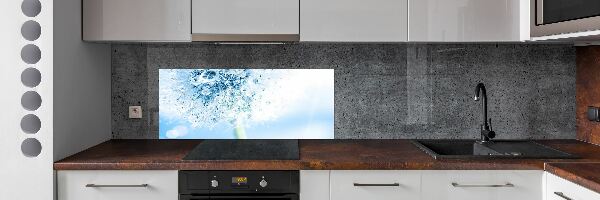 Dekorační panel sklo Pampeliška