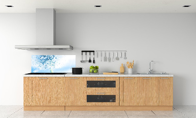 Dekorační panel sklo Pampeliška