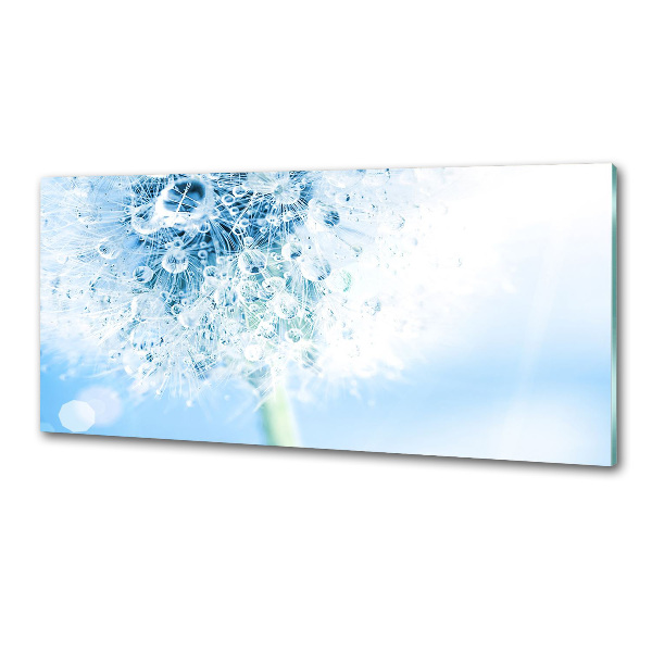 Dekorační panel sklo Pampeliška