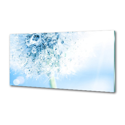 Dekorační panel sklo Pampeliška