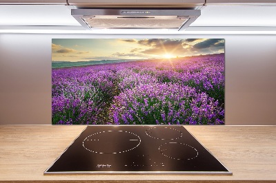 Dekorační panel sklo Pole levandule