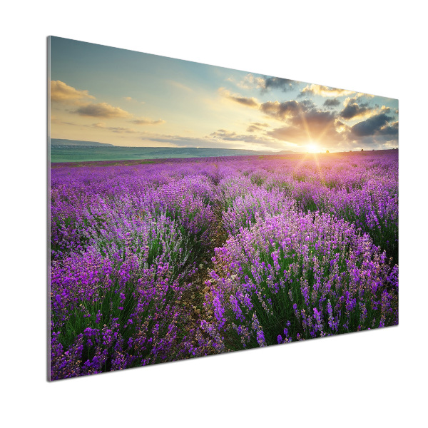 Dekorační panel sklo Pole levandule