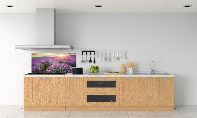 Dekorační panel sklo Pole levandule