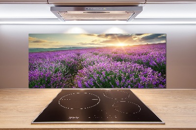 Dekorační panel sklo Pole levandule