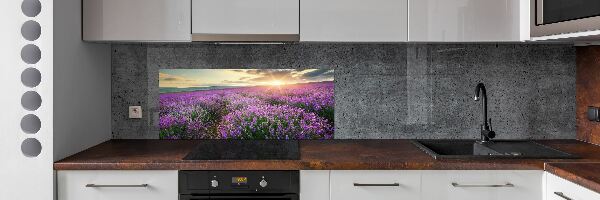 Dekorační panel sklo Pole levandule
