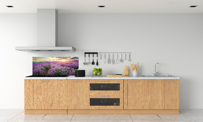 Dekorační panel sklo Pole levandule