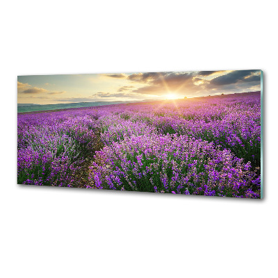 Dekorační panel sklo Pole levandule