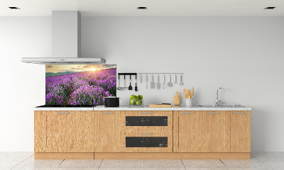 Dekorační panel sklo Pole levandule