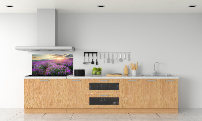 Dekorační panel sklo Pole levandule