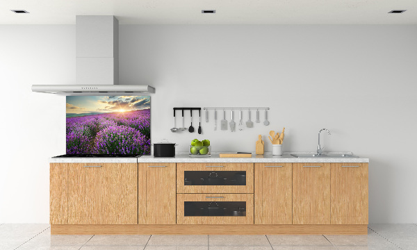 Dekorační panel sklo Pole levandule