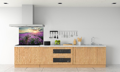 Dekorační panel sklo Pole levandule