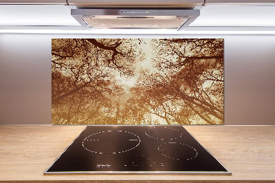 Panel tvrzené sklo do kuchyně Les