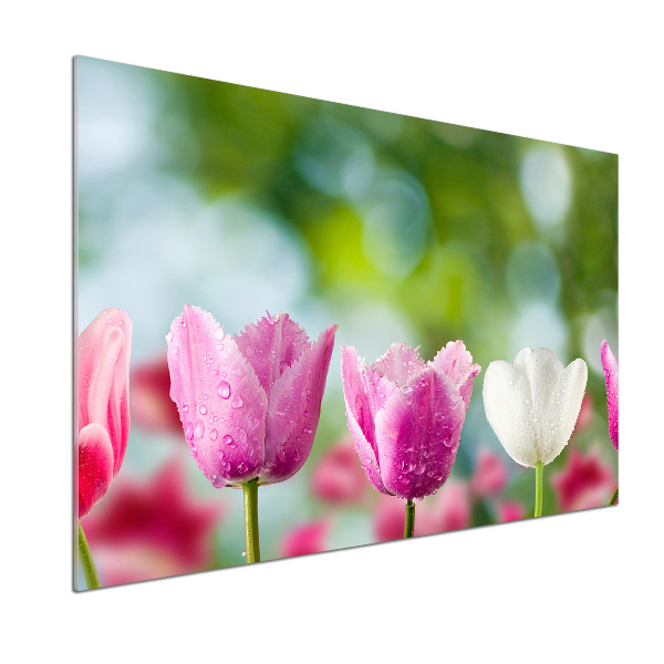 Skleněný panel do kuchynské linky Tulipány