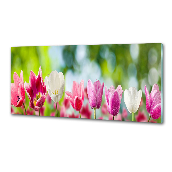 Skleněný panel do kuchynské linky Tulipány