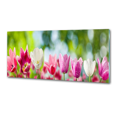 Skleněný panel do kuchynské linky Tulipány