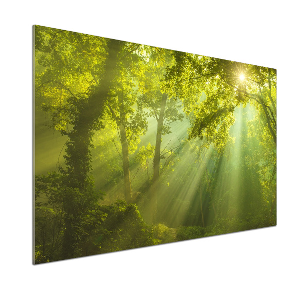 Dekorační panel sklo Les slunce