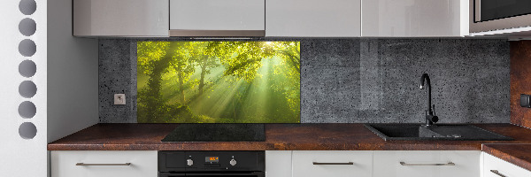 Dekorační panel sklo Les slunce