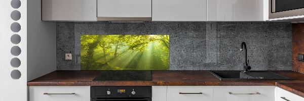 Dekorační panel sklo Les slunce