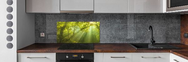 Dekorační panel sklo Les slunce
