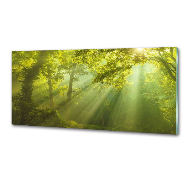 Dekorační panel sklo Les slunce
