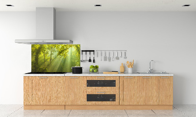 Dekorační panel sklo Les slunce