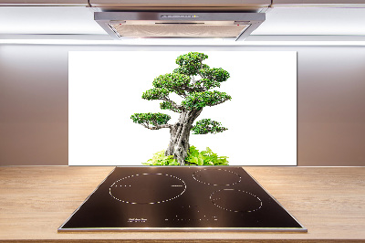 Panel do kuchyně Bonsai