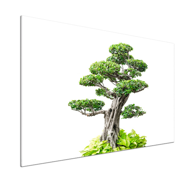 Panel do kuchyně Bonsai