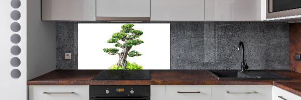 Panel do kuchyně Bonsai
