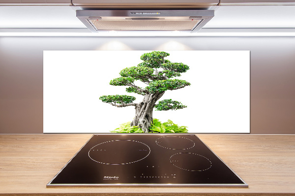 Panel do kuchyně Bonsai