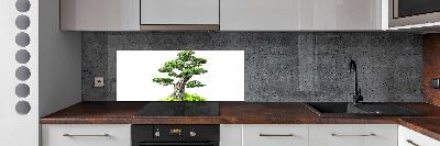 Panel do kuchyně Bonsai