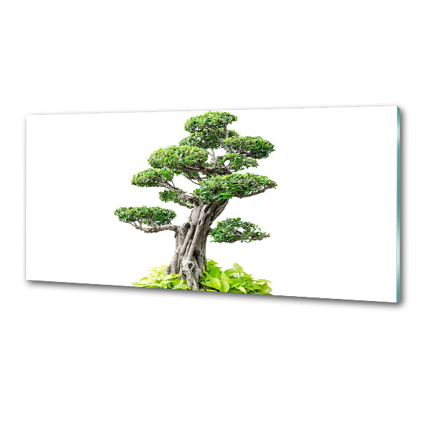 Panel do kuchyně Bonsai