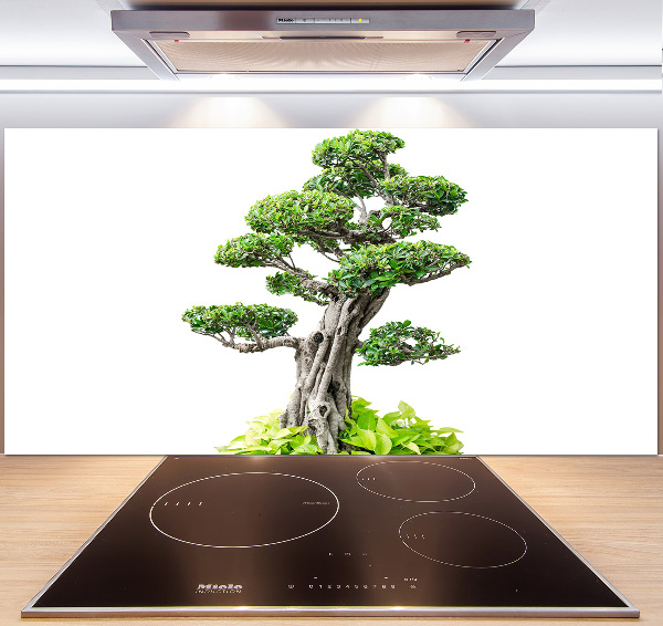 Panel do kuchyně Bonsai