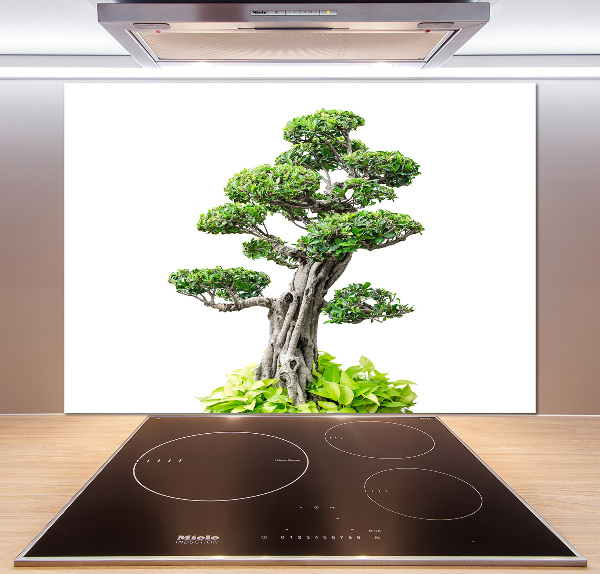 Panel do kuchyně Bonsai
