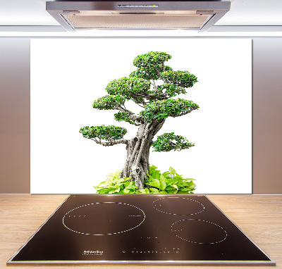 Panel do kuchyně Bonsai