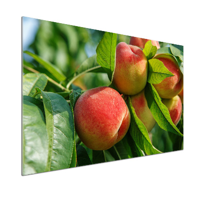 Dekorační panel sklo Broskve