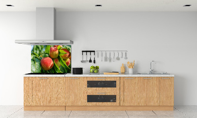 Dekorační panel sklo Broskve