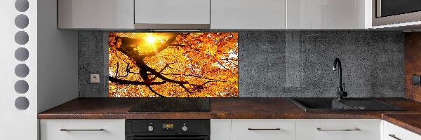 Panel lacobel Koruna stromů podzim