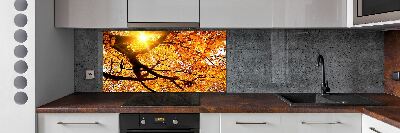 Panel lacobel Koruna stromů podzim