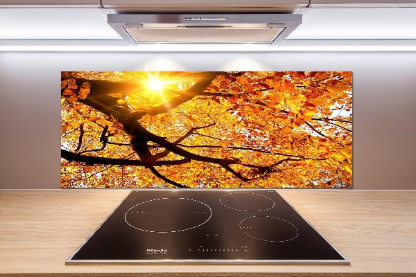 Panel lacobel Koruna stromů podzim