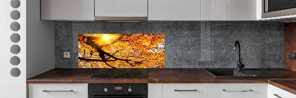 Panel lacobel Koruna stromů podzim